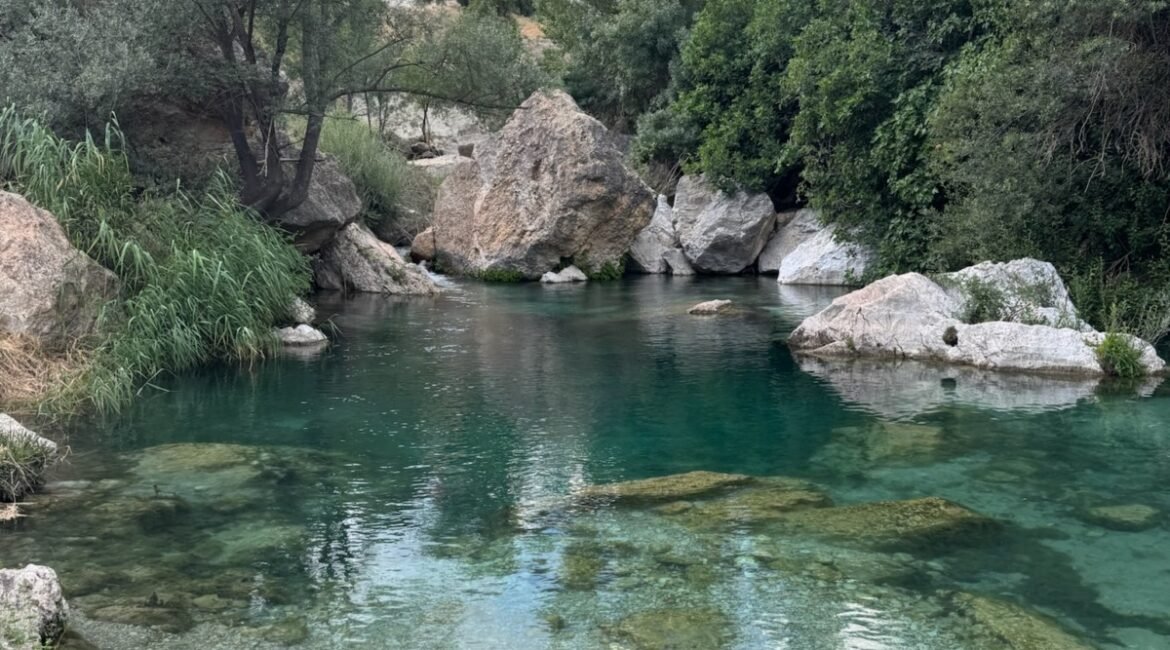 Viajar con perro a la Sierra de Cazorla: guía pet-friendly de verdad