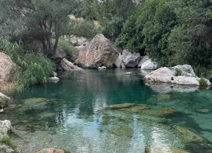 Viajar con perro a la Sierra de Cazorla: guía pet-friendly de verdad